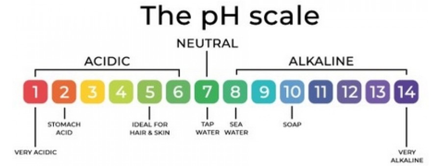 PH What is ?